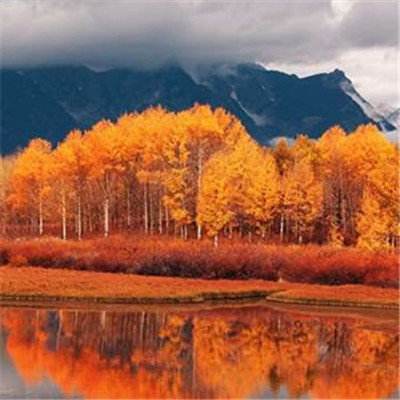 金沙威尼斯(wns)欢乐娱人城截图